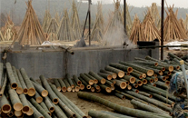 BAMBOO TREATMENT